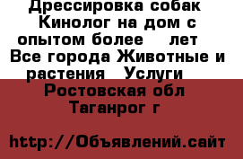 Дрессировка собак (Кинолог на дом с опытом более 10 лет) - Все города Животные и растения » Услуги   . Ростовская обл.,Таганрог г.